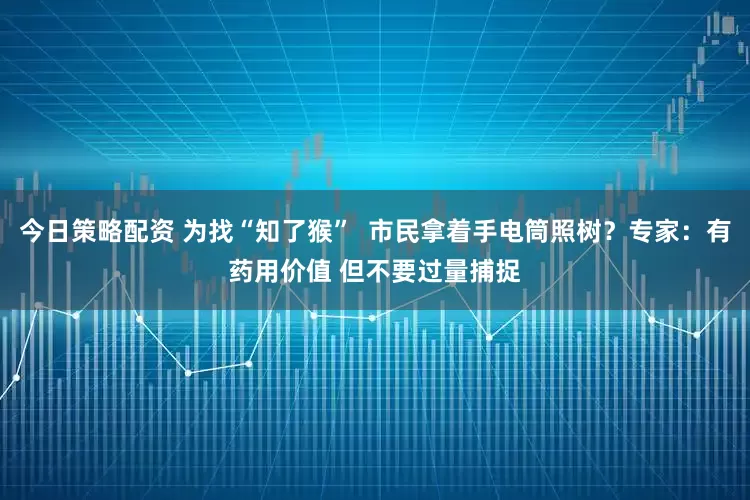 今日策略配资 为找“知了猴”  市民拿着手电筒照树？专家：有药用价值 但不要过量捕捉