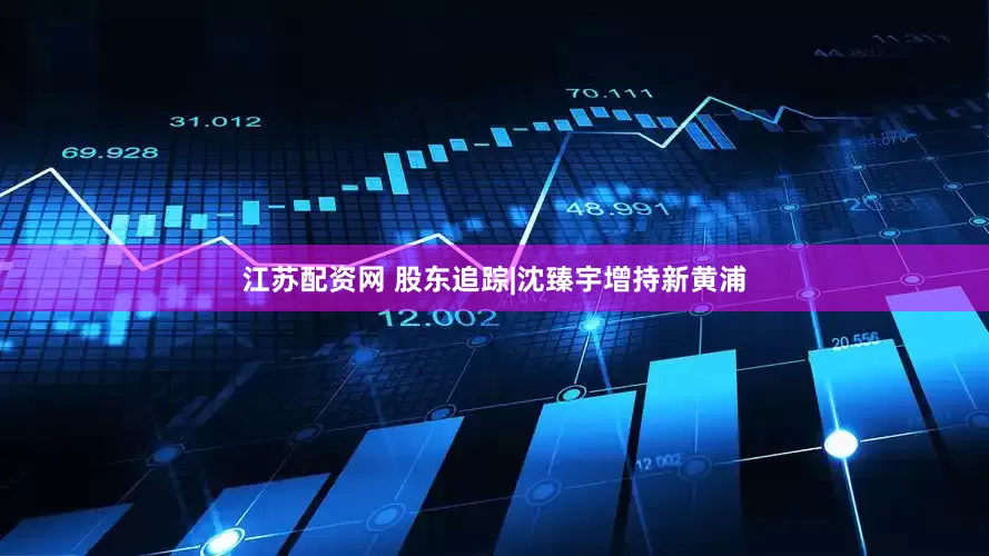江苏配资网 股东追踪|沈臻宇增持新黄浦