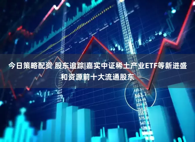 今日策略配资 股东追踪|嘉实中证稀土产业ETF等新进盛和资源前十大流通股东